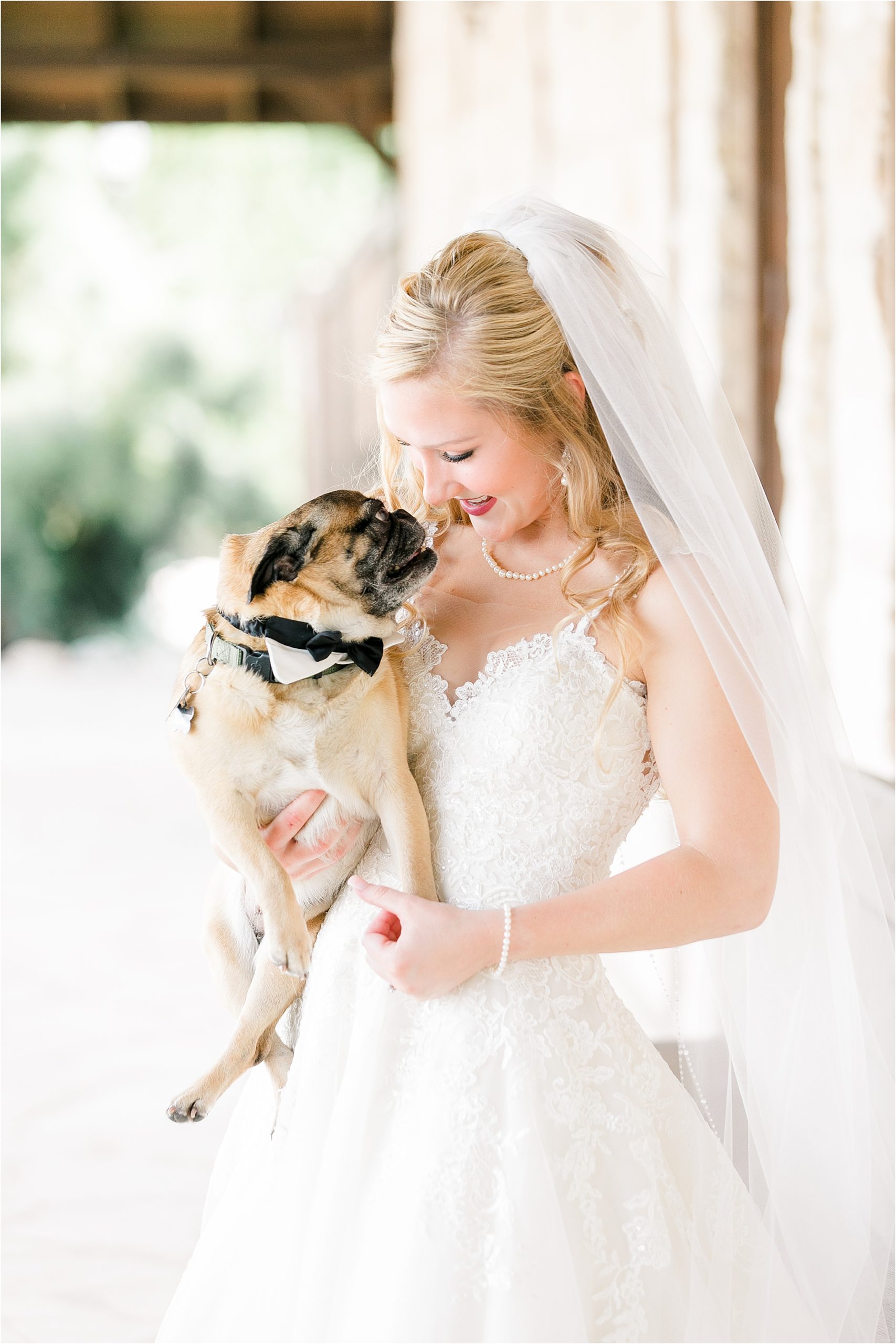 A Bride and her adorable pug at The Springs McKinney Wedding by Dallas Wedding Photographer Jillian Hogan
