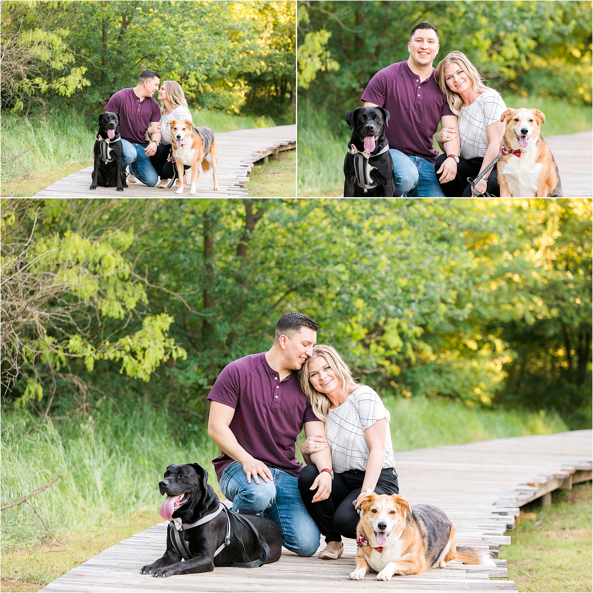 A young couple nuzzling with their two large dogs on a boardwalk at Elmer Oliver Nauture Park
