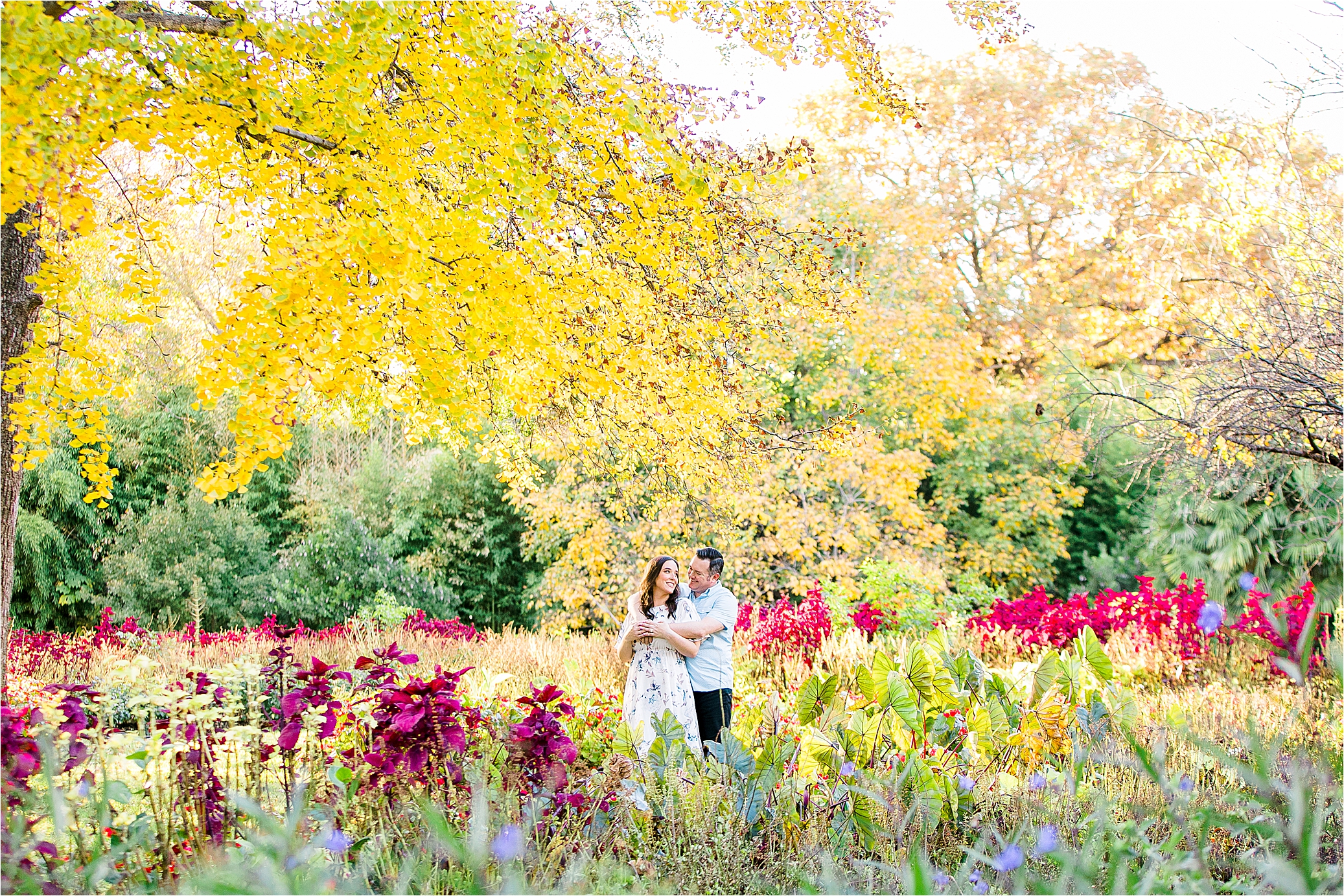 A couple embraces under a colorful yellow tree and among a field of red flowers during their Fort Worth Botanic Garden Engagement Session 