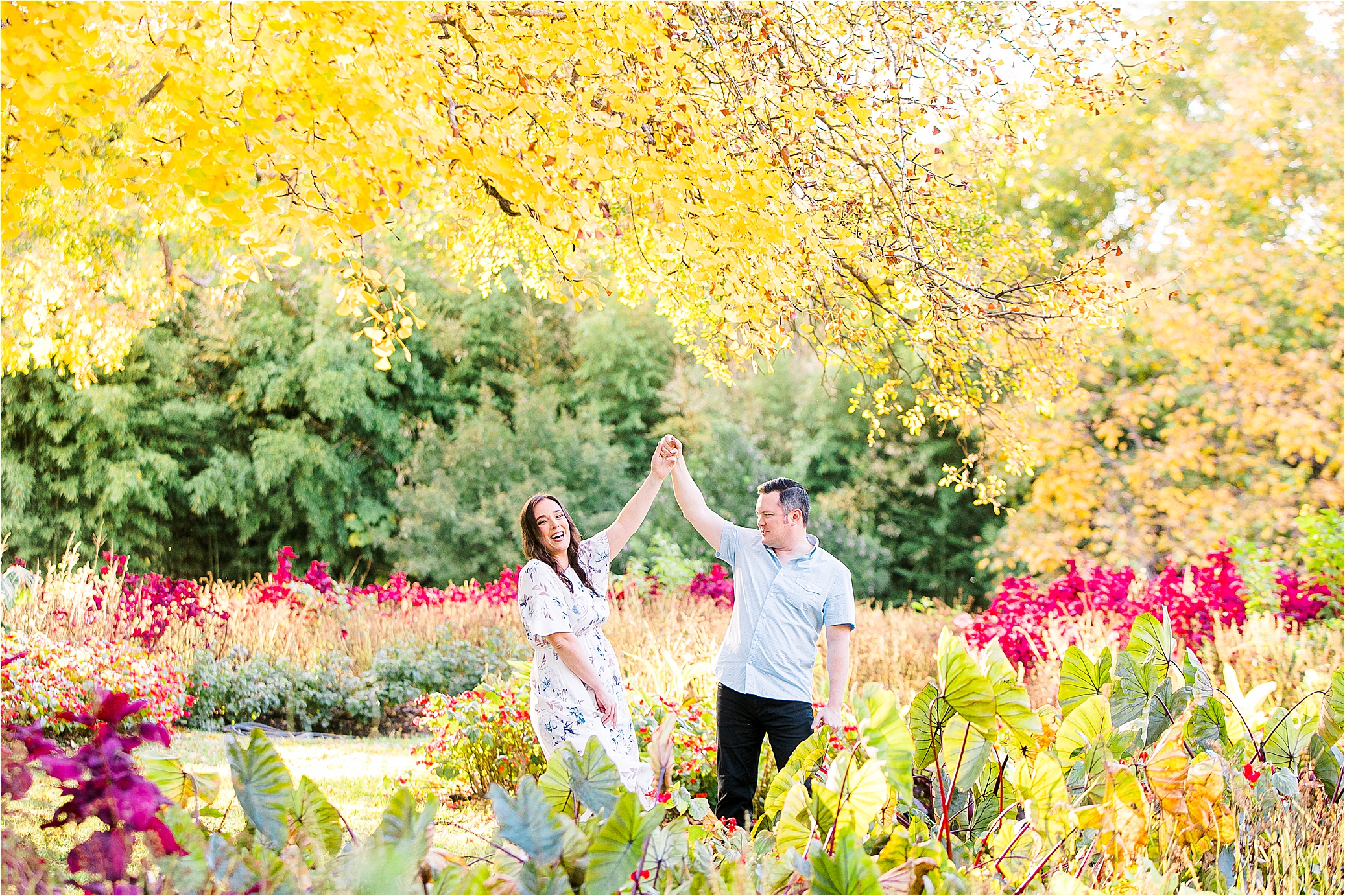 A couple laughs and spins under a tree with yellow leaves in a colorful field at The Fort Worth Botanic Garden during their Fort Worth Engagement Session 