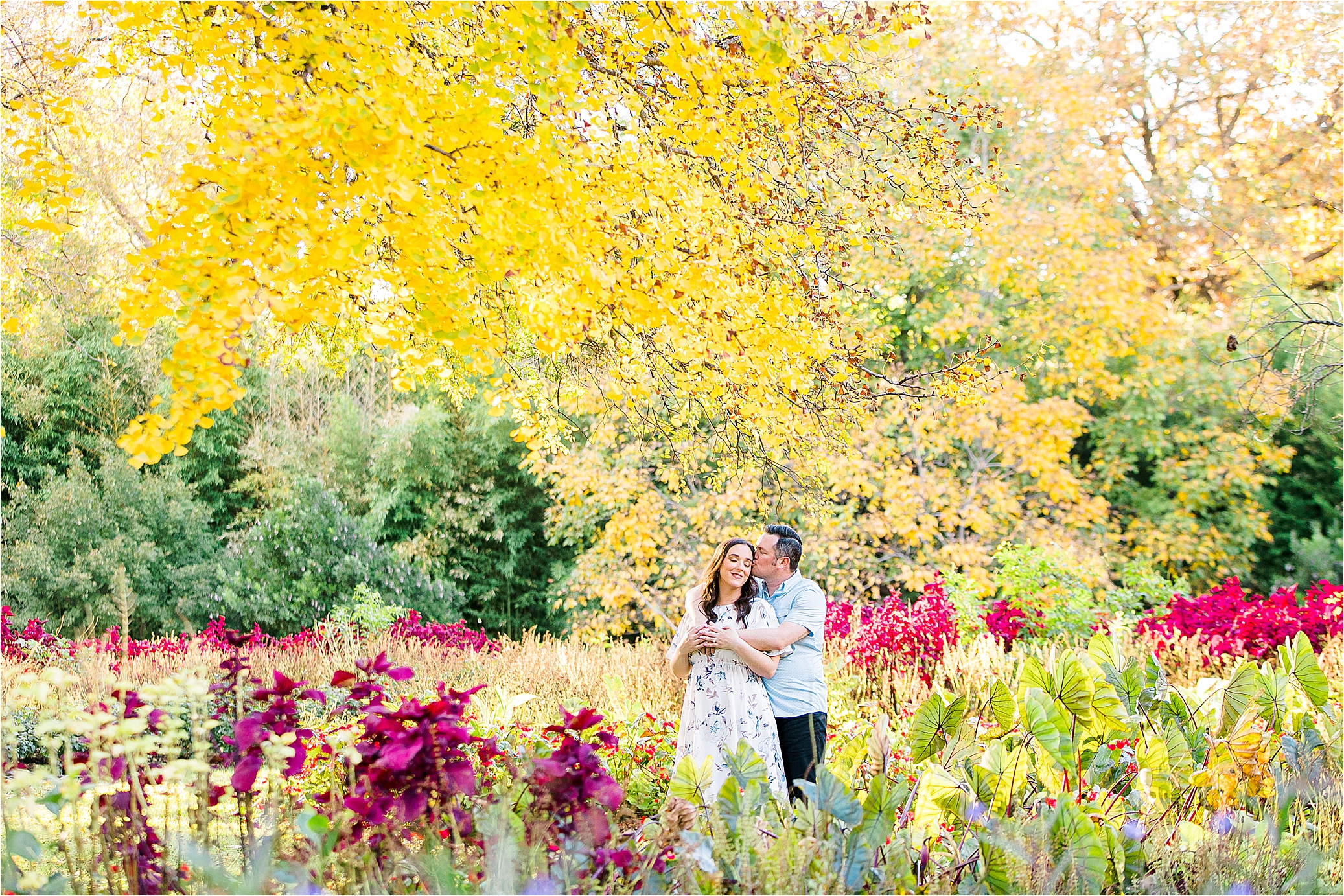 An engaged couple embraces under a tree with yellow leaves and among a field of red flowers on a warm, sunny day during their DFW Engagement Session at The Fort Worth Botanic Garden 
