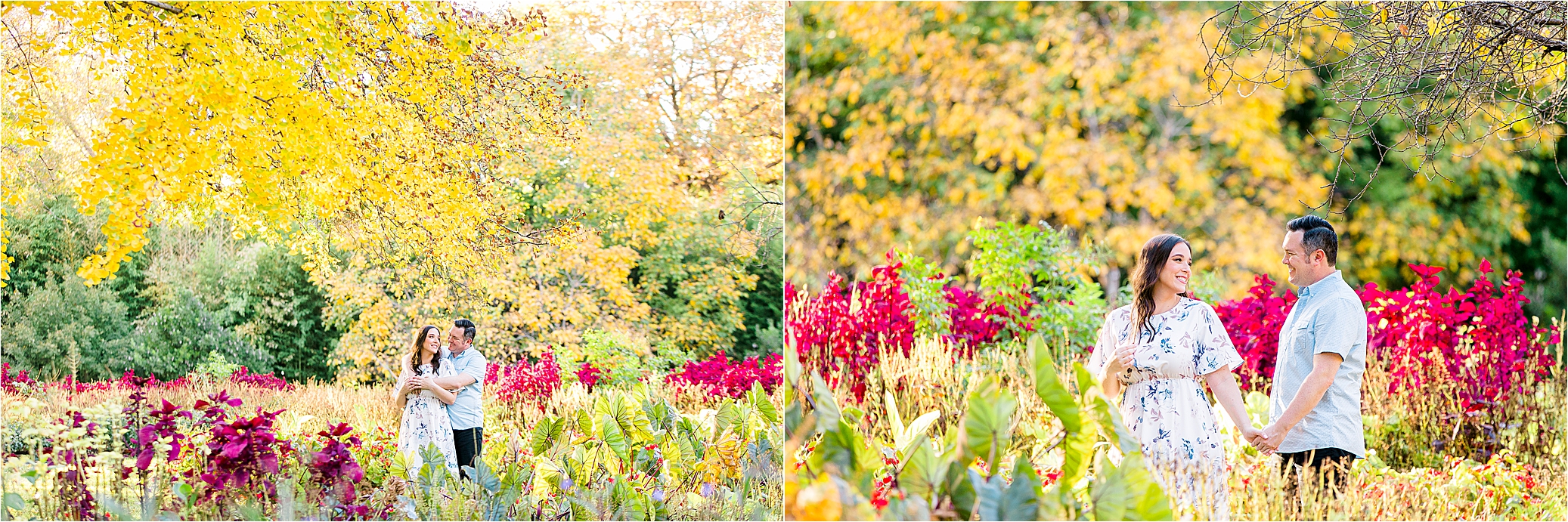 A couple walking through a field of yellows, greens and red during the Fort Worth Botanic Garden Engagement Session with DFW Wedding Photographer Jillian Hogan 