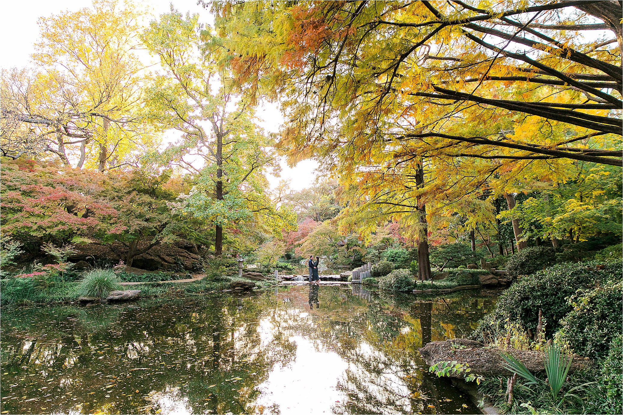A wide photo of a couple embracing in front of pond among colorful trees at The Japanese Gardens inside the Fort Worth Botanic Garden 