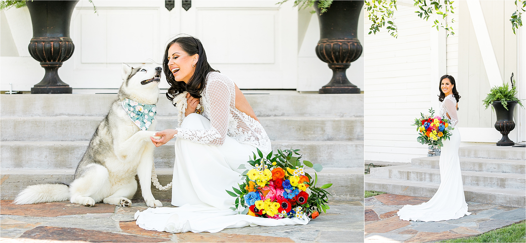 A bride laughs with her husky in front of her white wedding venue with Hill Country Wedding Photographer Jilian Hogan 