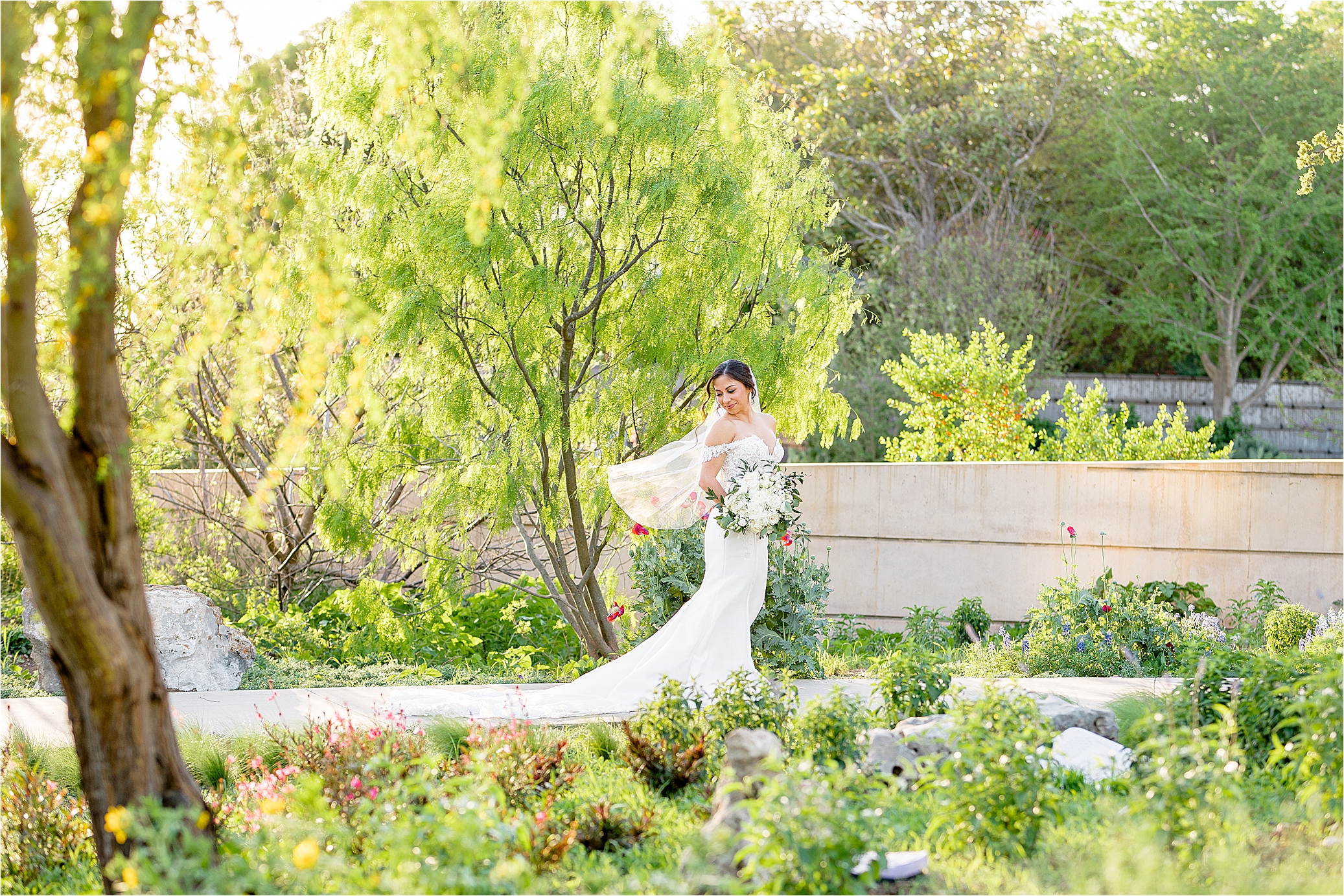 A bride walks through gardens as her veil blows during her bridal portraits at San Antonio Botanic Garden with wedding Photographer Jillian Hogan 