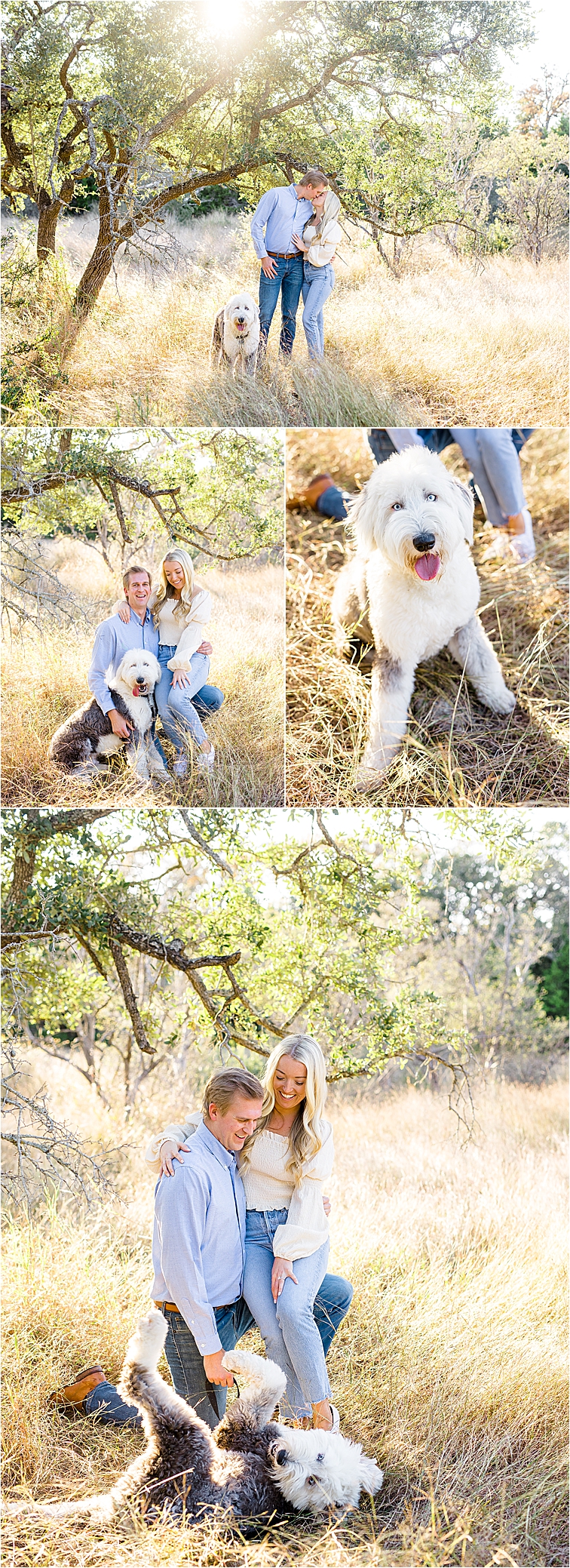 A couple shares a kiss and plays with their fluffy dog in a field for their Hill Country Engagement Session with San Antonio Wedding Photographer Jillian Hogan 